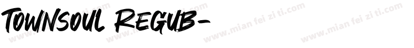 Townsoul Regub字体转换